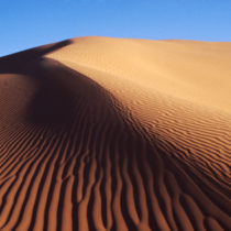 Imperial Sand Dunes